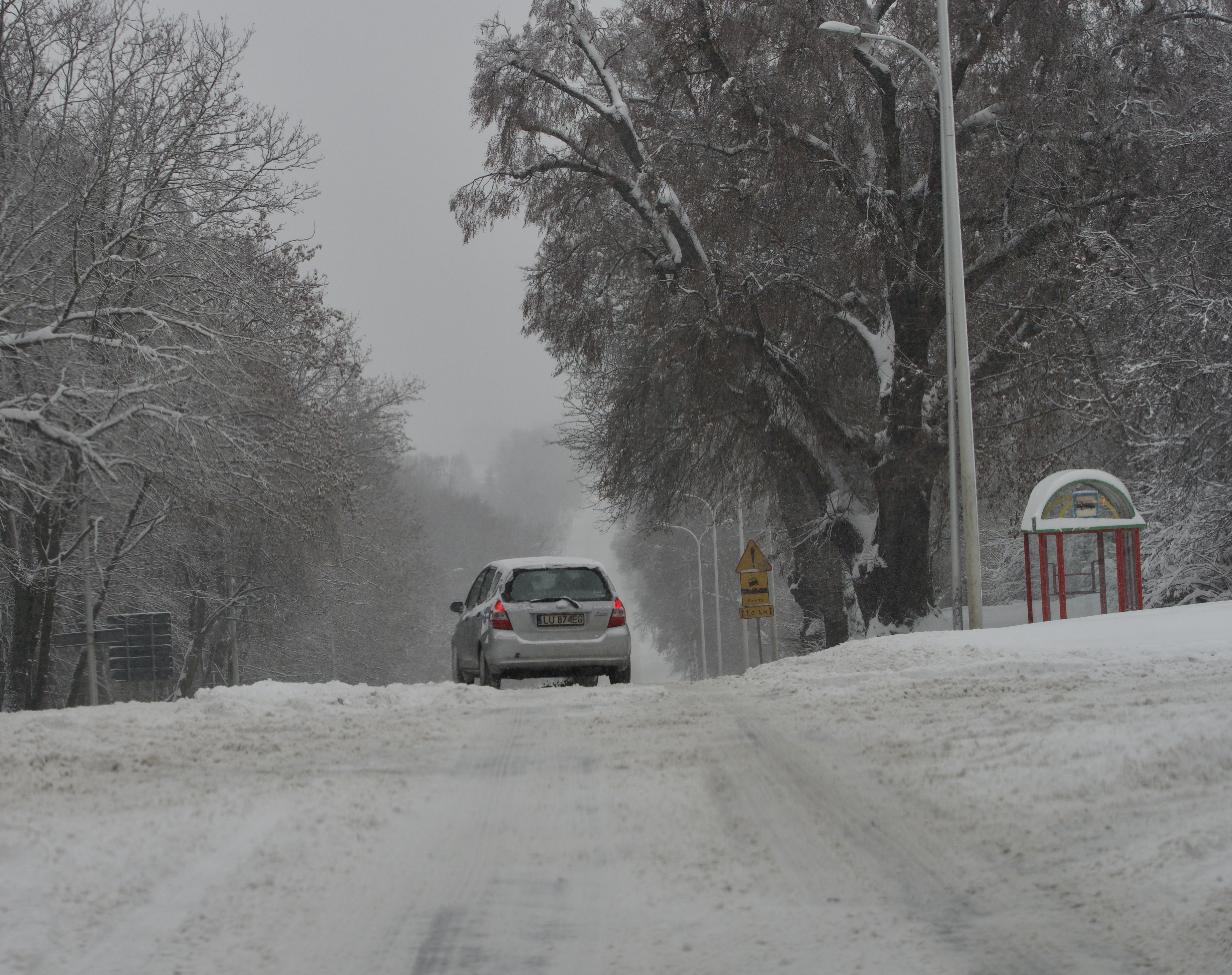 Nadchodzą siarczyste mrozy. Jak się przed nimi chronić?