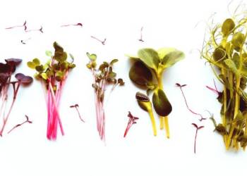 EAttachments7323454df3b4a5c612d6c4c4ce862253f8be473