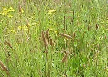 EAttachments7355031b71aff965d0e67eb26432beac6e65c55 xl