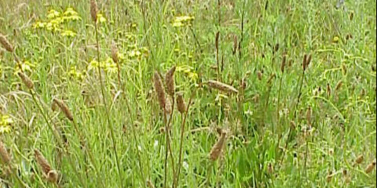 EAttachments7355031b71aff965d0e67eb26432beac6e65c55 xl