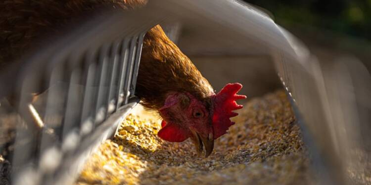 EAttachments84382923227e200b72e41cbe78c560d8c4b39f4