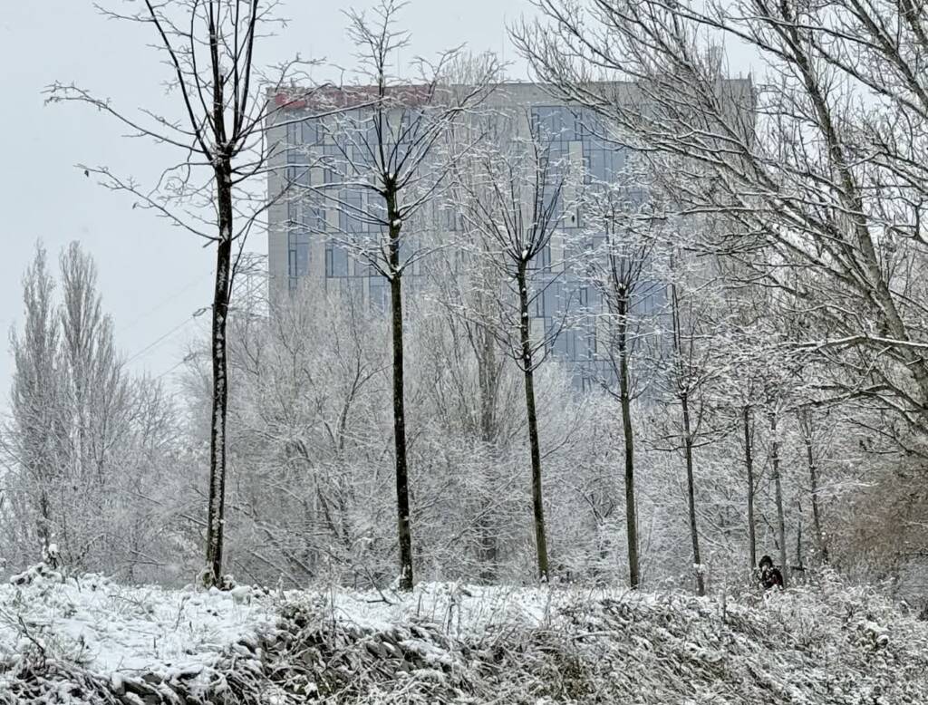 EAttachments90896460e00874bd0c2225d1995bf746f7a7654 xl