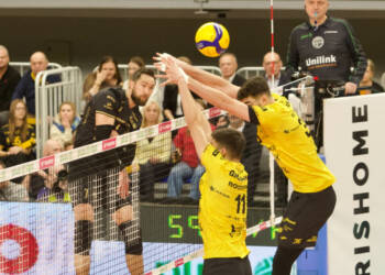 EAttachments9219435a39908e4368907c285c6f5f006fd0541 xl