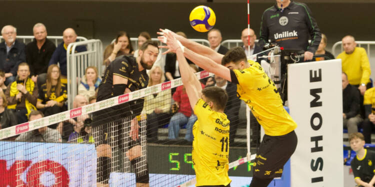 EAttachments9219435a39908e4368907c285c6f5f006fd0541 xl