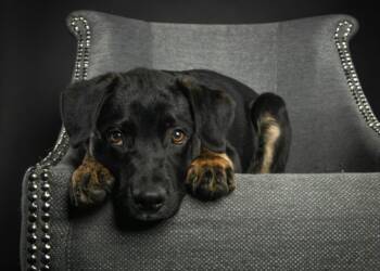 EAttachments92471721d620c59542f7d148b7783a9a86e2767 xl