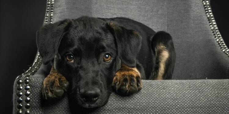 EAttachments92471721d620c59542f7d148b7783a9a86e2767 xl