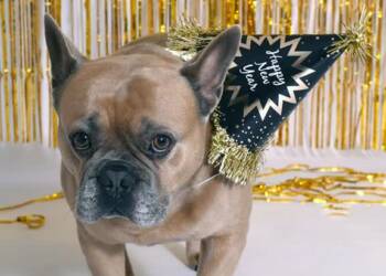 EAttachments92493090724f3c6566cfb610163220ac7425f8e xl