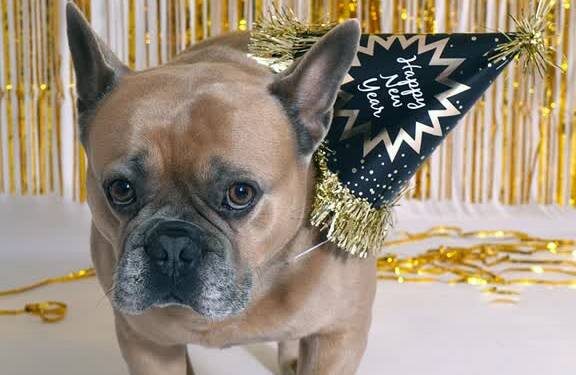 EAttachments92493090724f3c6566cfb610163220ac7425f8e xl