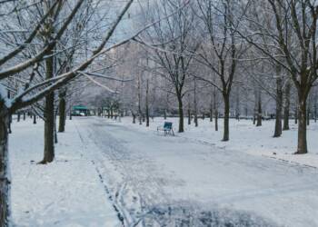 Czujność mieszkańca uratowała wychłodzonego mężczyznę 2 EAttachments9249579bc4d9dd9e94aa7d008f36f753ce14521 xl