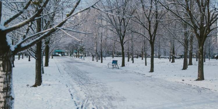 Czujność mieszkańca uratowała wychłodzonego mężczyznę 1 EAttachments9249579bc4d9dd9e94aa7d008f36f753ce14521 xl