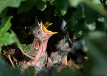 EAttachments9250778abc9ac08dfa6f2f8db21d7e7cf9e5475 xl