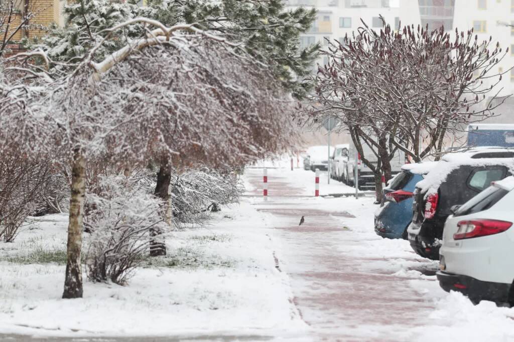 Zawieje i zamiecie w regionie. IMGW ostrzega, drogowcy w gotowości 1 EAttachments925220427e9898dc2acb29d6c7583ee90f46524 xl