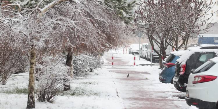 EAttachments925220427e9898dc2acb29d6c7583ee90f46524 xl