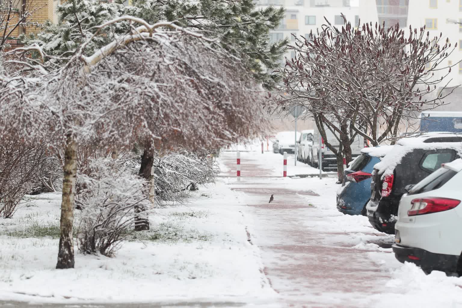 Zawieje i zamiecie w regionie. IMGW ostrzega, drogowcy w gotowości