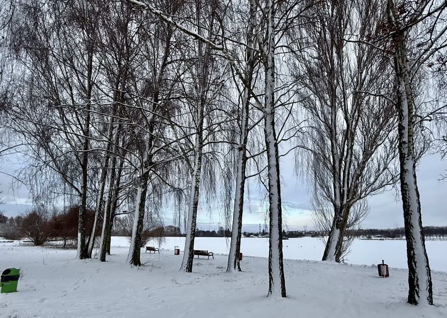 Zimowa aura sprzyja spacerom po lubelskim deptaku