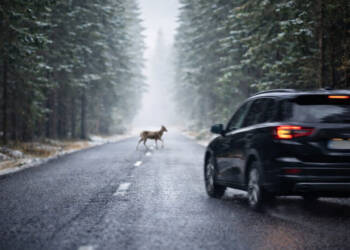 EAttachments9253638a80e26f9005f3560d96e5c6fe190ff78 xl 1024x689 1