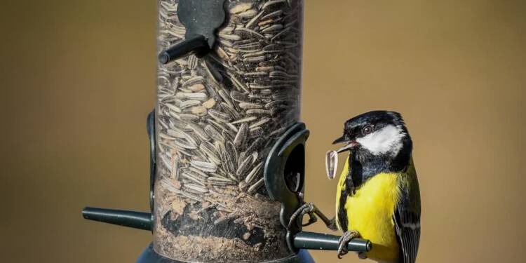 EAttachments9254289659d8f8ee9370970723d7f8987dd4bcb xl