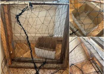 EAttachments92543987179f1a101c40d4e6427e120a0582468 xl