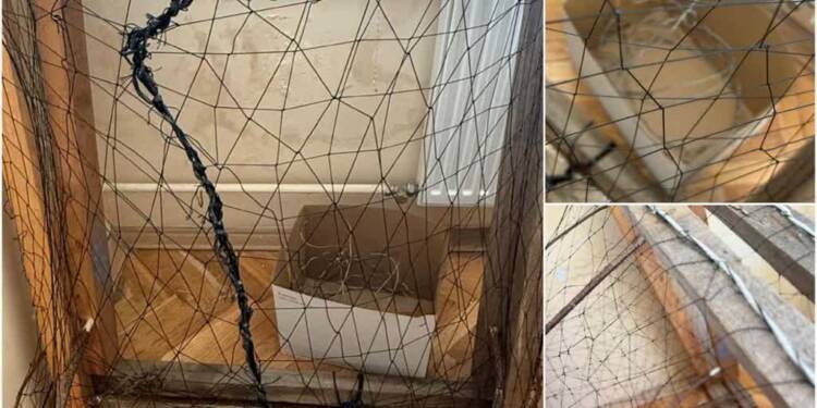 EAttachments92543987179f1a101c40d4e6427e120a0582468 xl