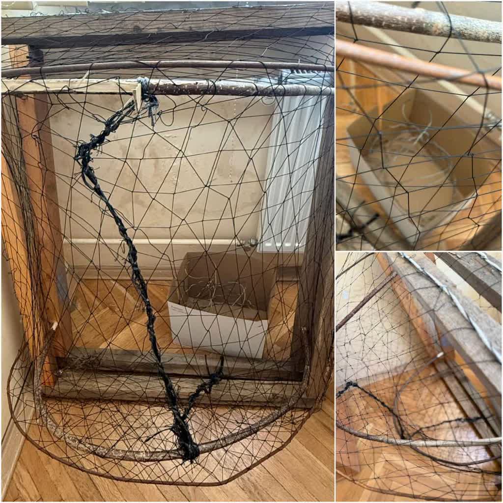 Kłusownictwo w gminie Michów. 43-latek zatrzymany, zabezpieczono wnyki i pułapki