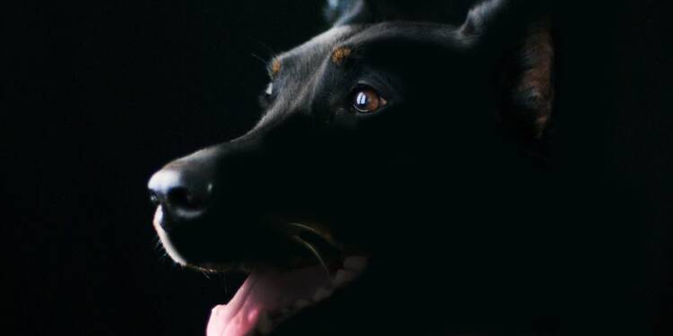 EAttachments9255162061e41bd186b4d848498012bc8d0b9a9 xl