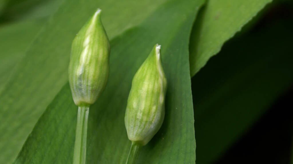 EAttachments925519441903d9fe84a218da19f8a5bd0e02857 xl