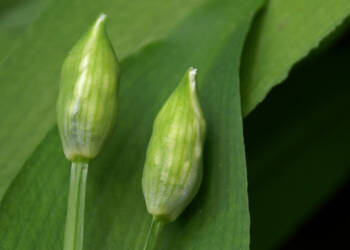 EAttachments925519441903d9fe84a218da19f8a5bd0e02857 xl