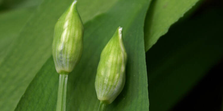 EAttachments925519441903d9fe84a218da19f8a5bd0e02857 xl