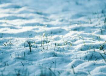 EAttachments92552649f16f17eb68523360c08d93f69bbc45d xl