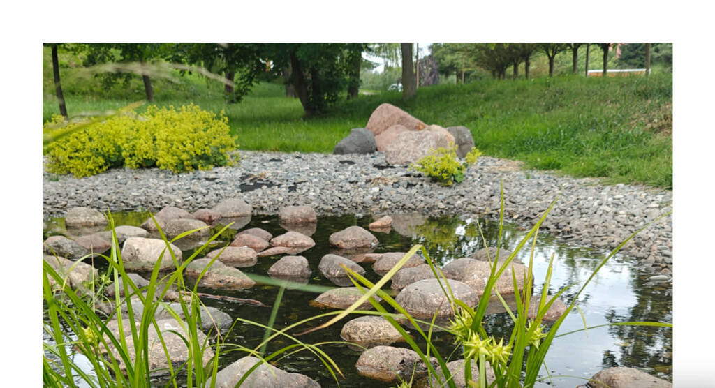 EAttachments9257223e073c0dbc3effdebf25c25cedf9e88d9 xl