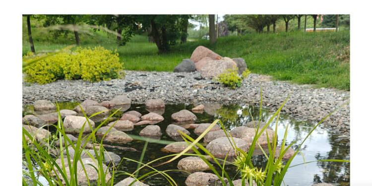 EAttachments9257223e073c0dbc3effdebf25c25cedf9e88d9 xl