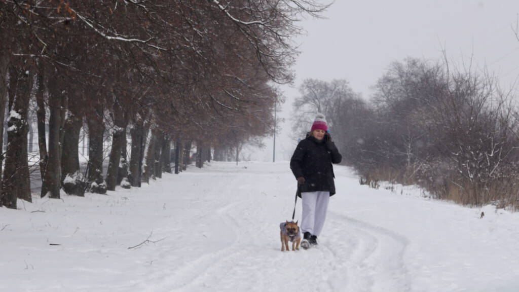 EAttachments925778539be5a0327952a1a1005290450aedc46 xl