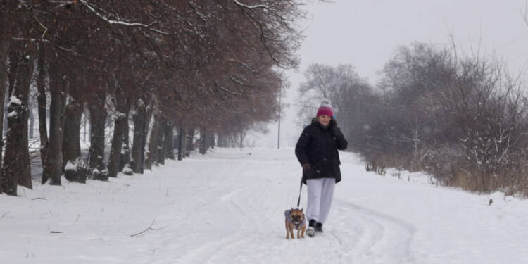 Mróz szkodzi nie tylko ludziom. Zimą zadbajmy o naszych pupili! 1 EAttachments925778539be5a0327952a1a1005290450aedc46 xl