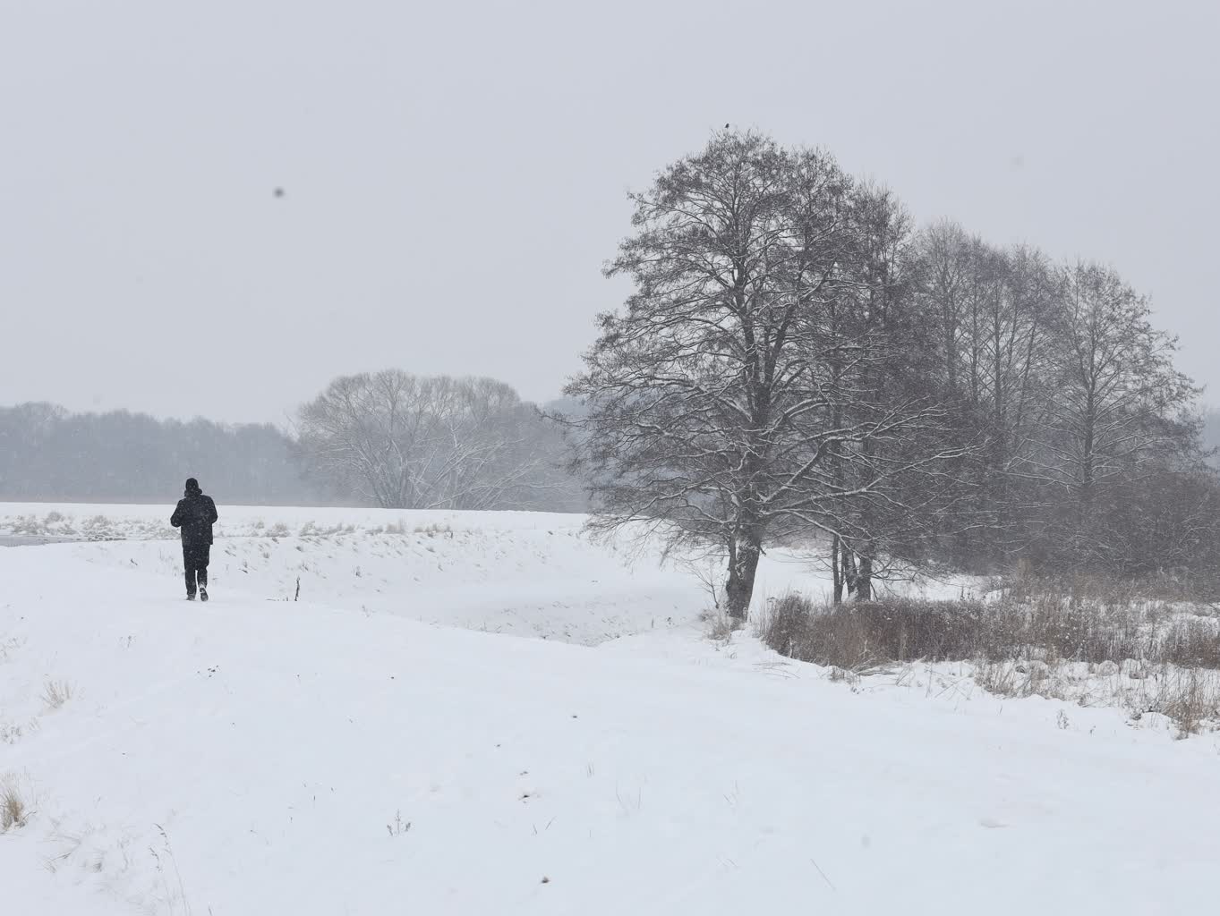 Klimat zmienia reguły gry. Ekstremalne zjawiska pogodowe coraz częstsze