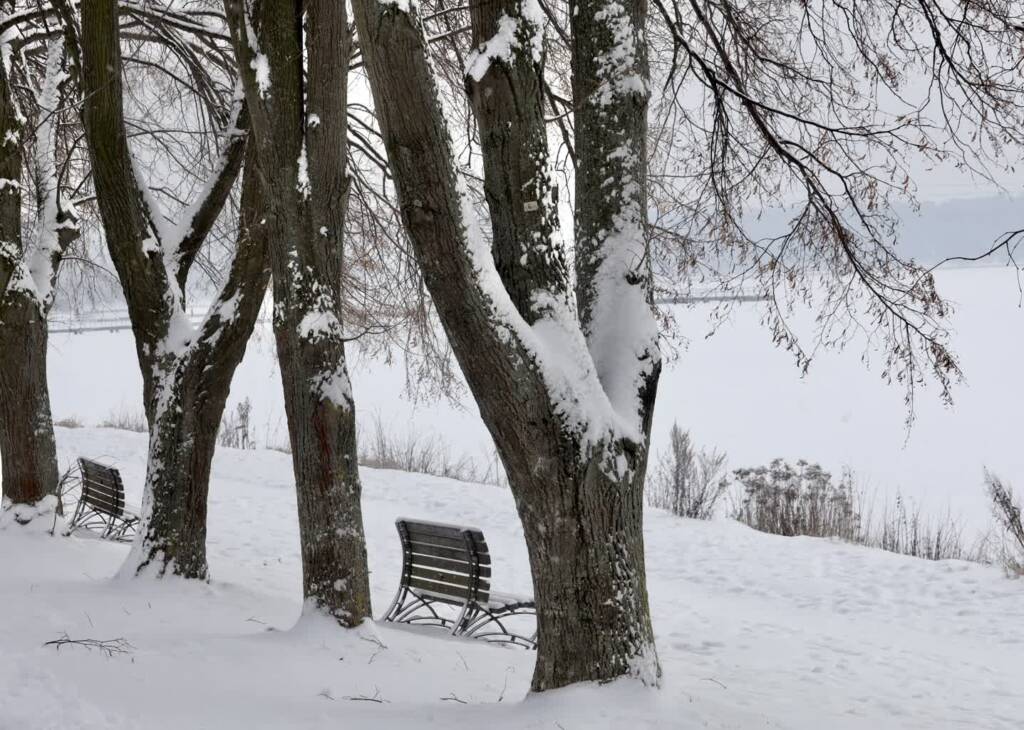 Arktyczne powietrze nad Polską. Silny mróz, śnieg i zawieje w prognozie IMGW 1 EAttachments9257785fea9a568f7e1622bcd7277b273bee95d xl