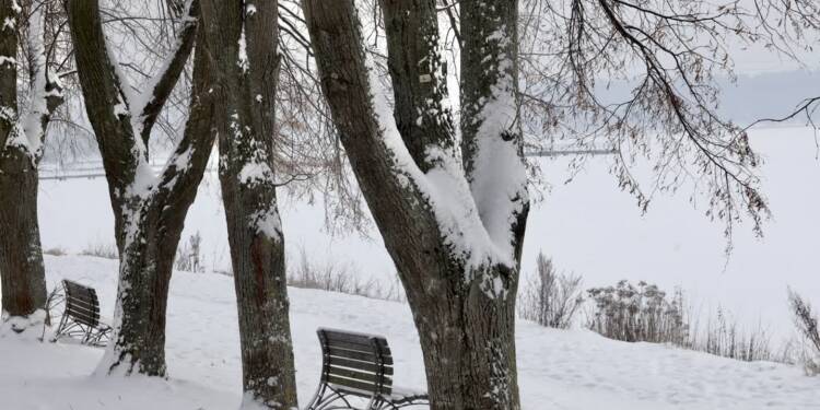 EAttachments9257785fea9a568f7e1622bcd7277b273bee95d xl