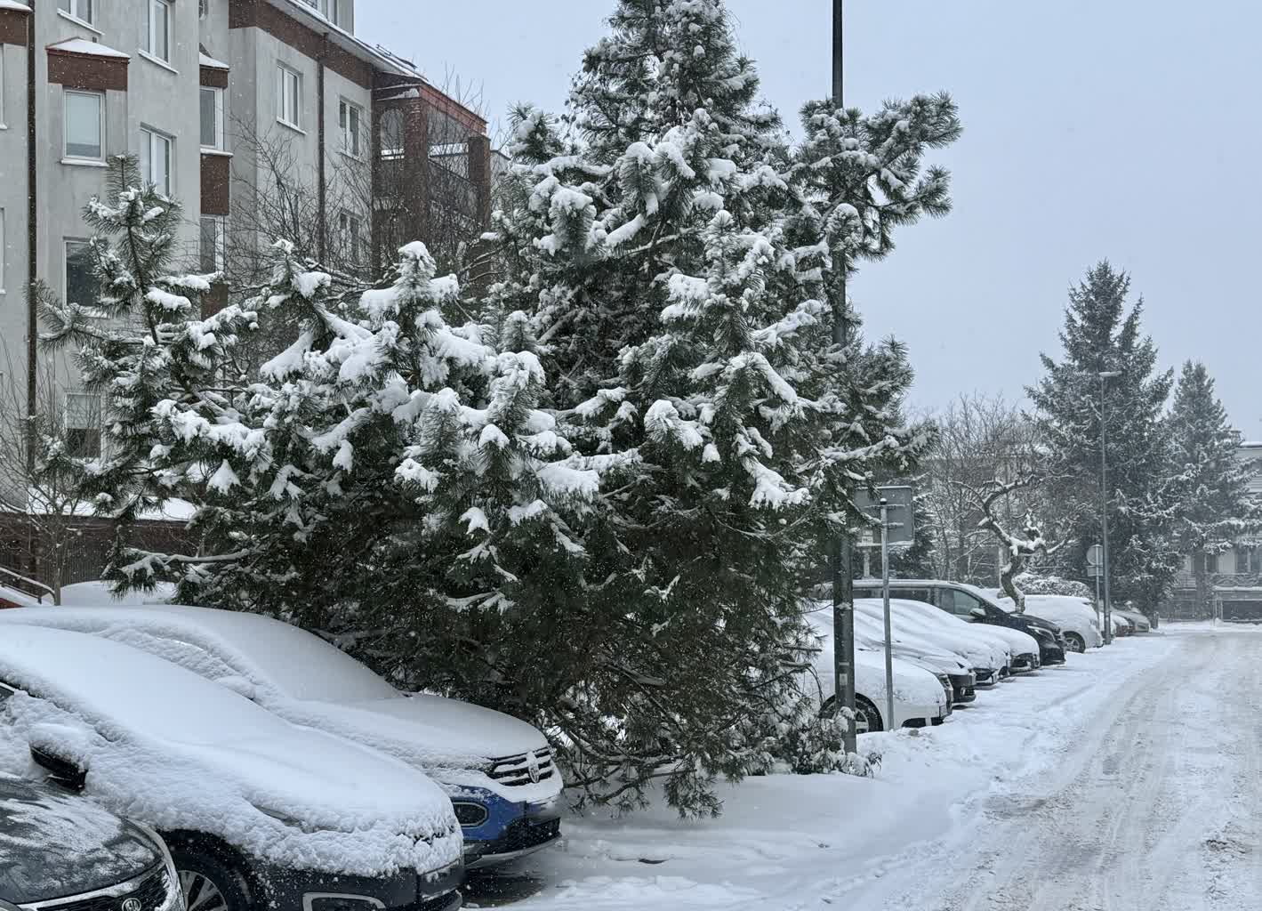 Powiat puławski: utrudnione podróżowanie z powodu opadów śniegu