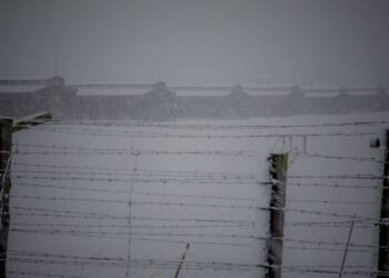 Z powodu zimy zamknięto lubelskie muzeum 6 EAttachments92598168b03be2e56ef14676e313f1984f6b3f5 xl