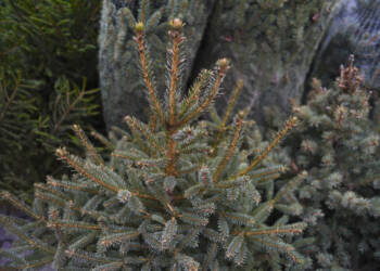 EAttachments92611254a8e4812f93cb72131135d73a72b0780 xl 1024x684 1