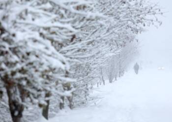 EAttachments9261701c4a9ca8c5fb8d6331cc6ca072ea41272 xl