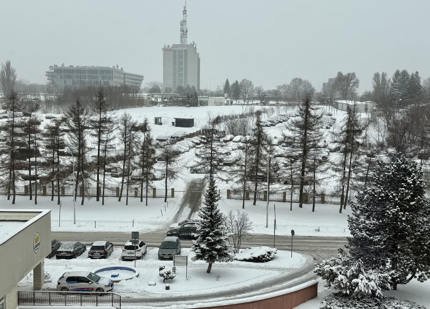Tęgie mrozy i opady śniegu. Weekend pod znakiem zimy