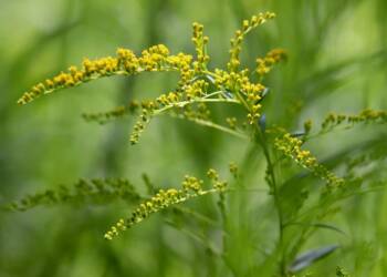 EAttachments9262538fd7574515409409656e206ab6666e400 xl