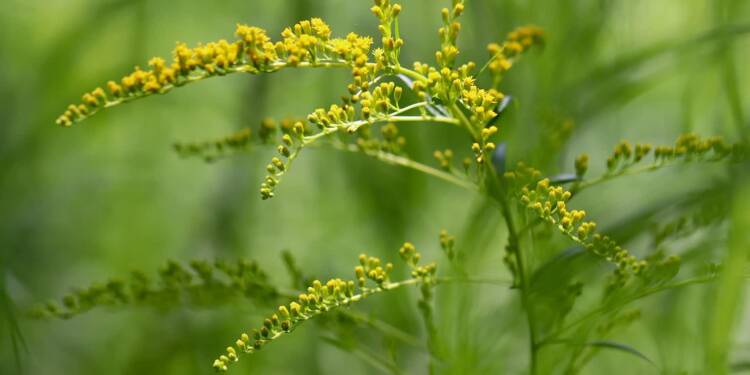 EAttachments9262538fd7574515409409656e206ab6666e400 xl