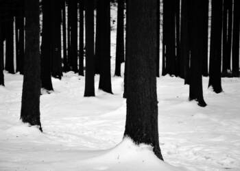 EAttachments9262559e4fcee2f970982e1d692b5108af000c2 xl