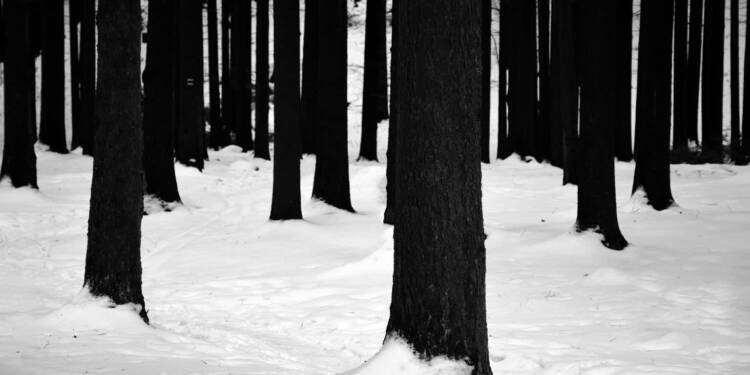 EAttachments9262559e4fcee2f970982e1d692b5108af000c2 xl