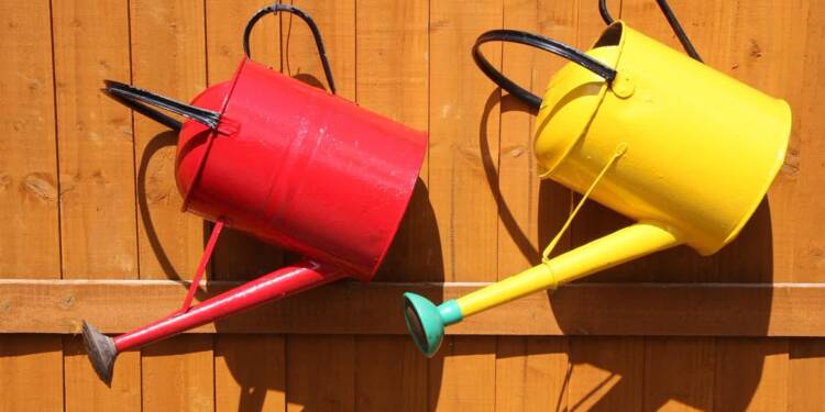 10.01.2026 Ekoradio Lublin - o prozdrowotnych owocach 1 EAttachments9262588f6fe28e7bb6c4622b49c73ffcdf3ff3f xl