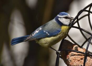 EAttachments92632012e38a0c125ffb78abc353e1c7119765b xl