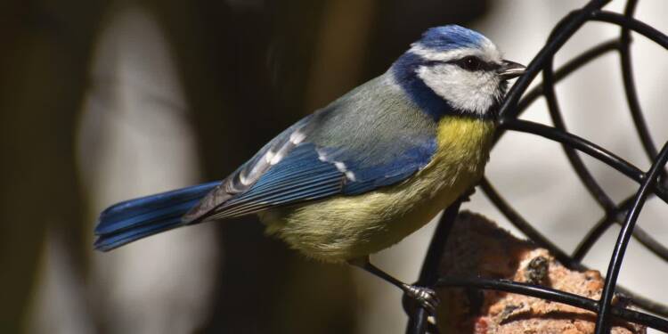 EAttachments92632012e38a0c125ffb78abc353e1c7119765b xl