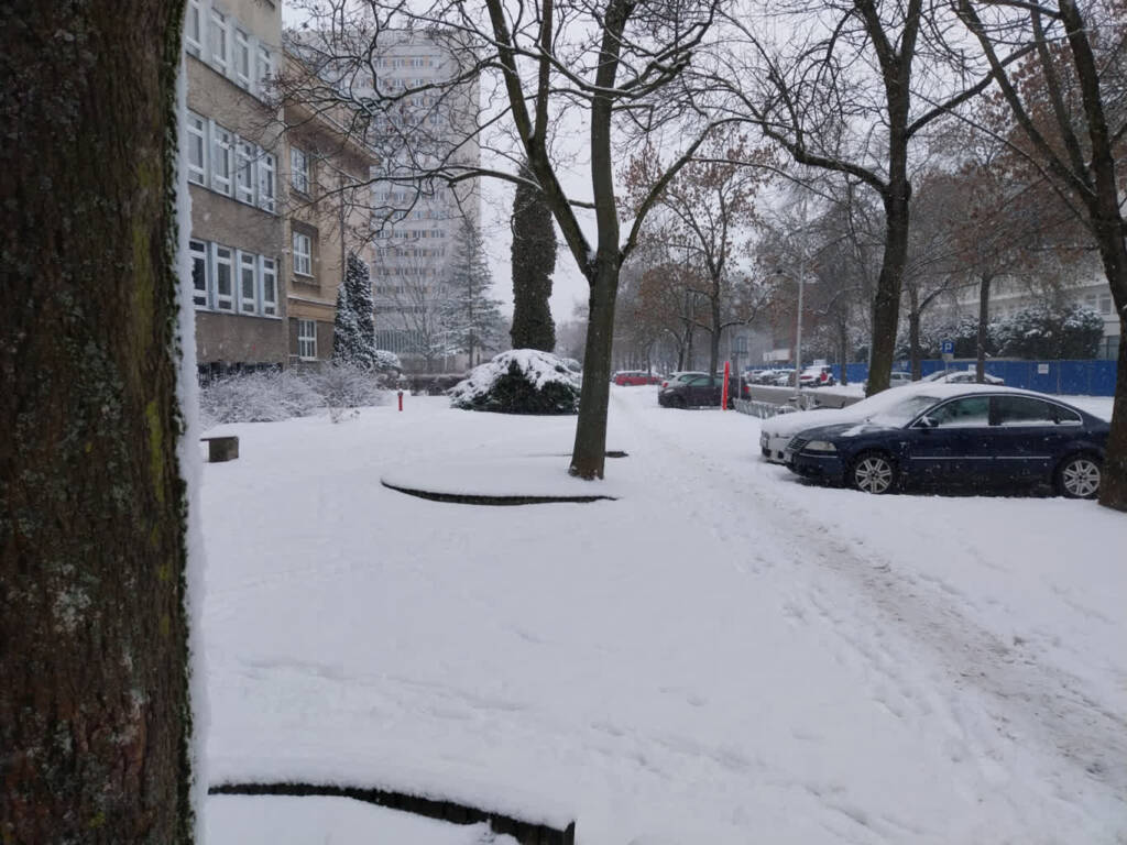 „To szczególnie niebezpieczne dla osób starszych”. Ślisko na chodnikach! 1 EAttachments926493456d9936131a6a348c5049f81253c9813 xl 1