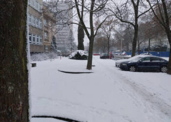 EAttachments926493456d9936131a6a348c5049f81253c9813 xl